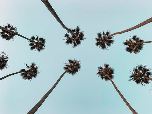 2023: A Year of Sustainable Craft & Green Heart