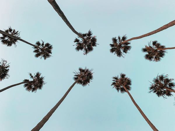2023: A Year of Sustainable Craft & Green Heart